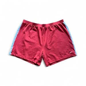 Y2K Vintage Nike Shorts Size Large (12/14)